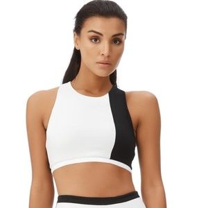 ABBEY (BLACK) SPORTS BRA - All Fenix